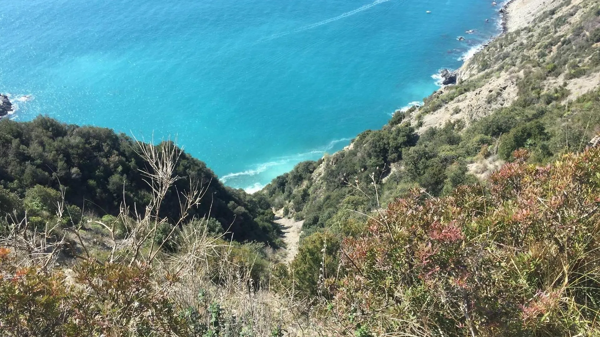 Amazing Holiday Home Near Pet Friendly Beach Carrara